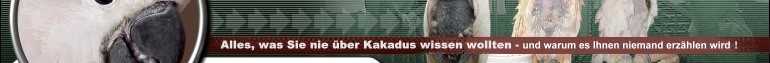 Kakadu-Info.de