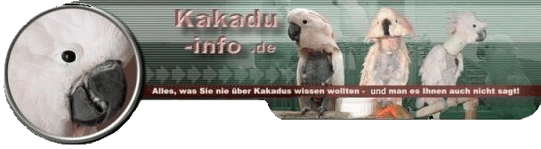 Kakadu-Forum